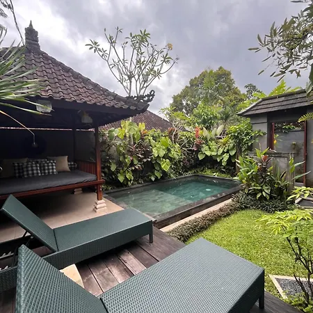 Badra House Bougainvillea