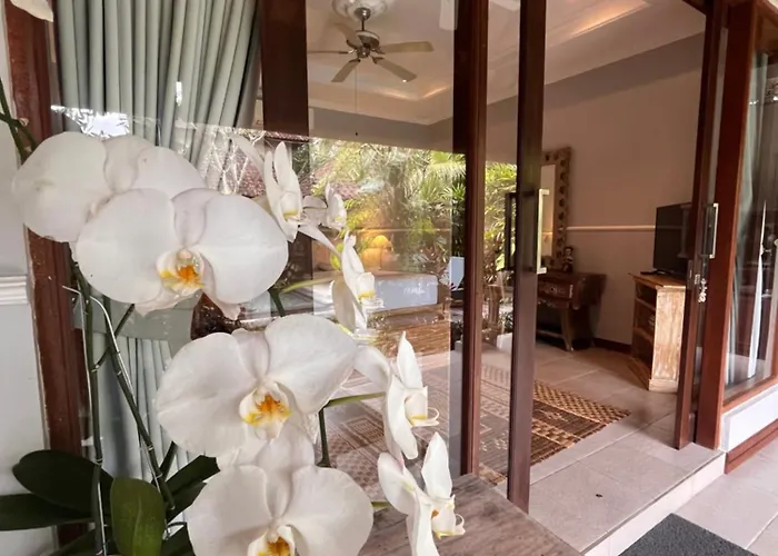 Badra House Bougainvillea