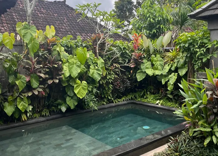 Villa Badra House Bougainvillea